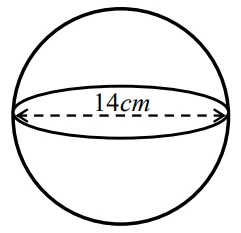 Pastèque sphérique de diamètre 14 cm