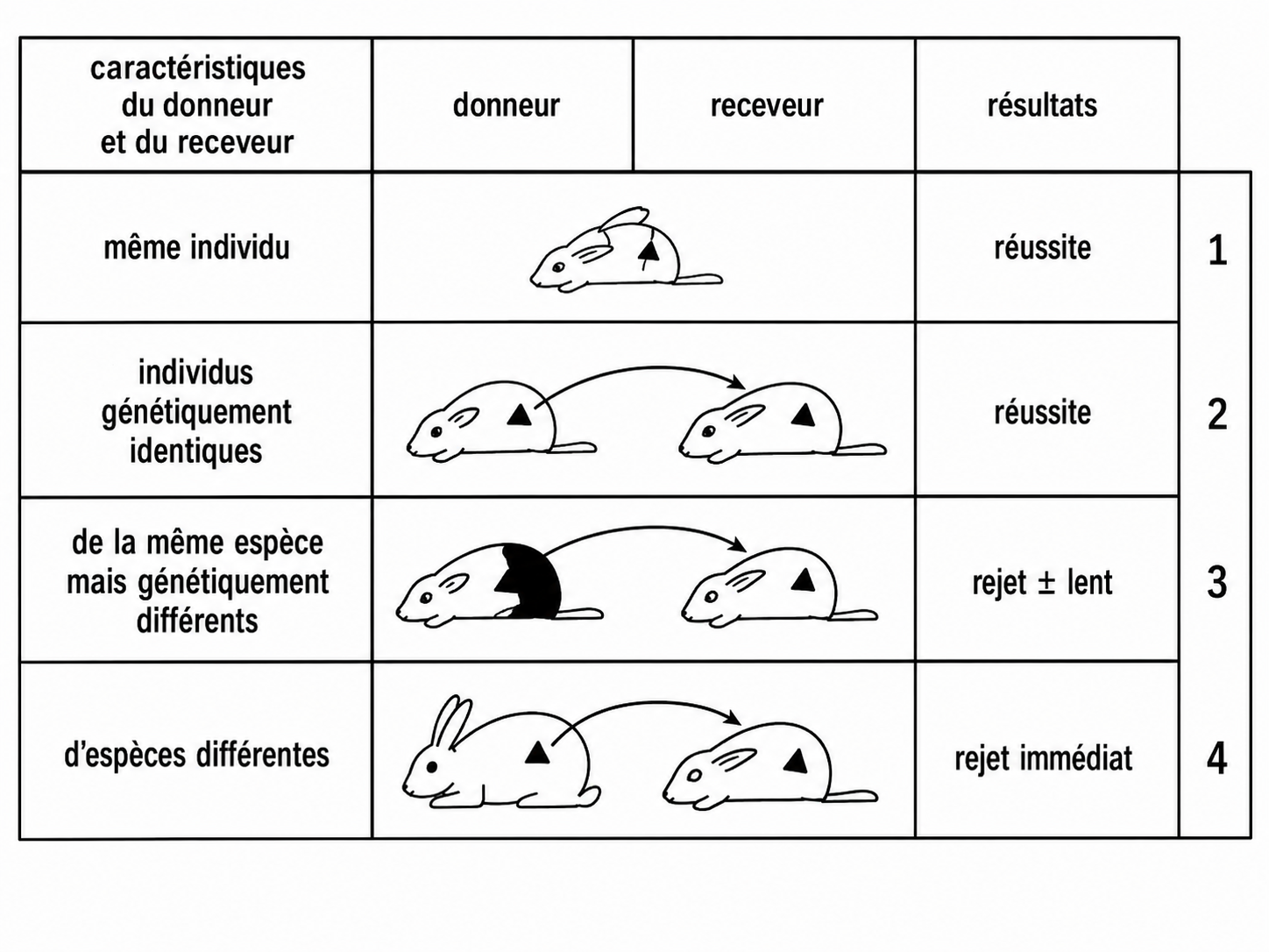 Document sur les greffes