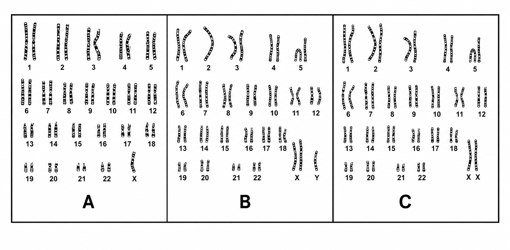 Document 2