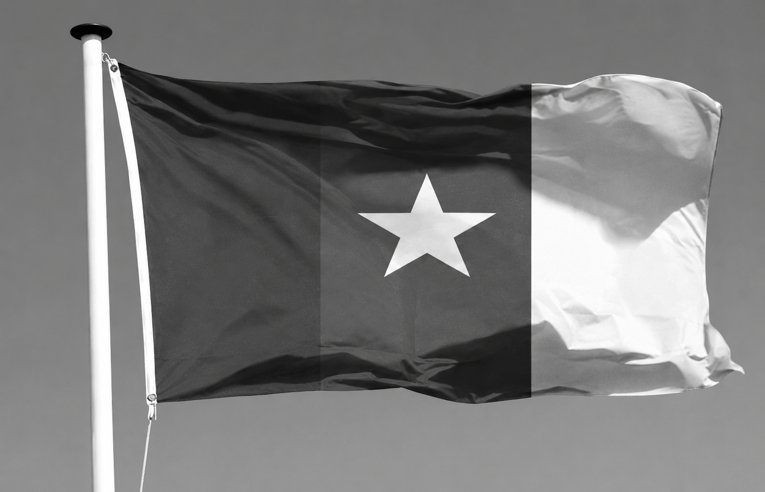 Le drapeau du Cameroun
