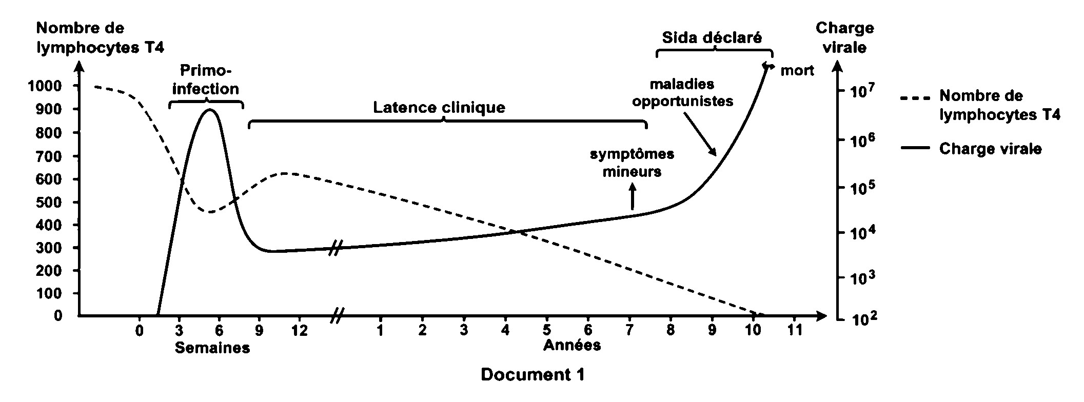 Document 1 : évolution de l’infection par le VIH
